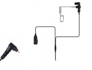 Motorola SL4000 Wireless 2-Wire Surveillance Kit